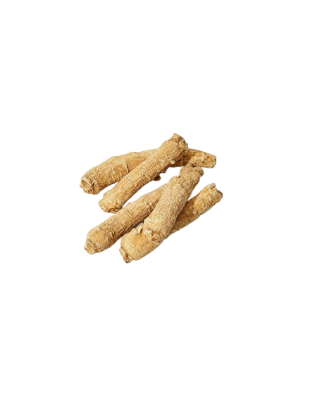 Premium American Ginseng Products